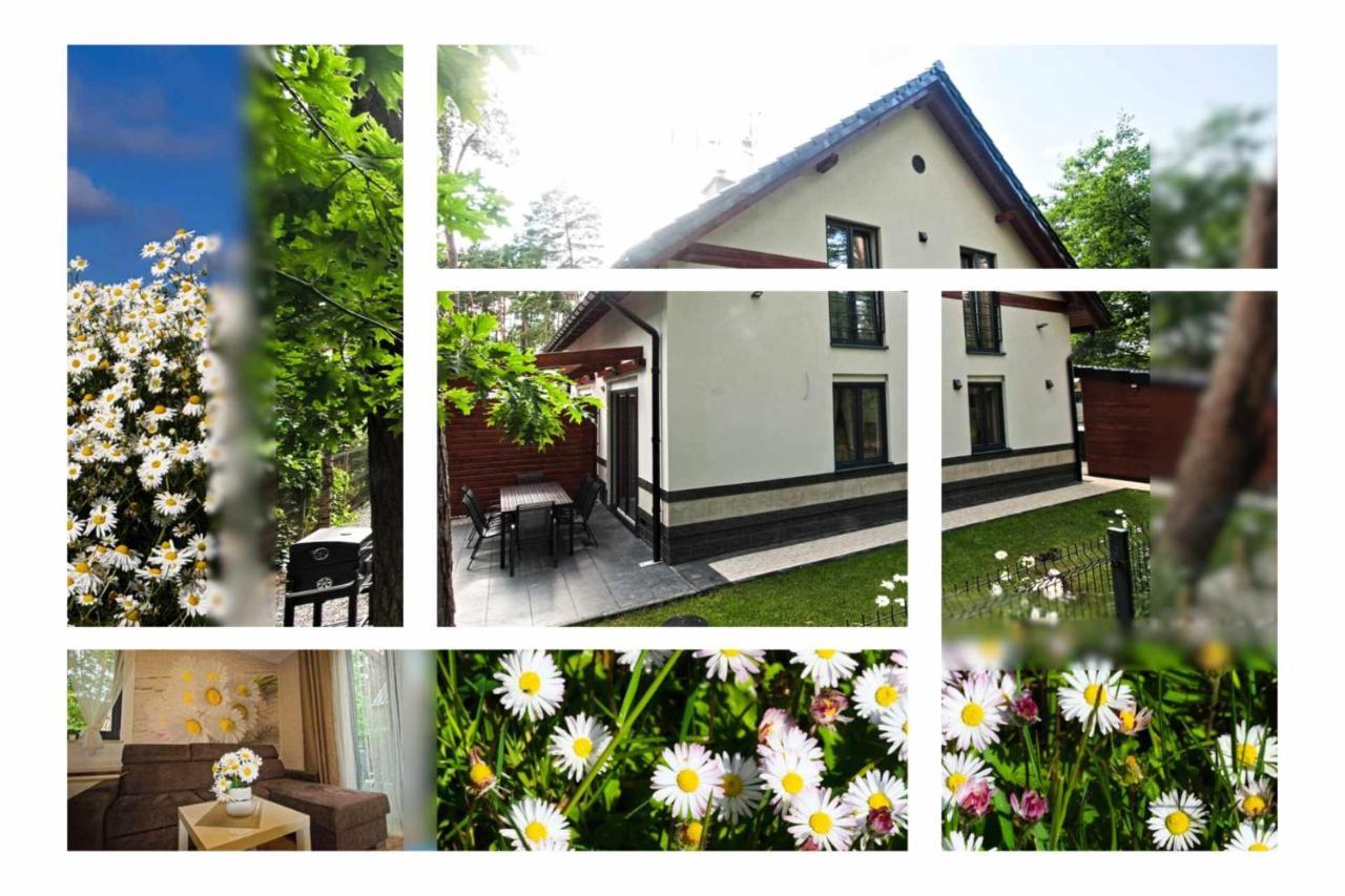Daisy - Sunny Flowers Apartments Łukęcin エクステリア 写真
